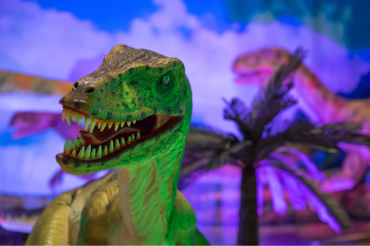 Dinosaurs Live, l'esposizione