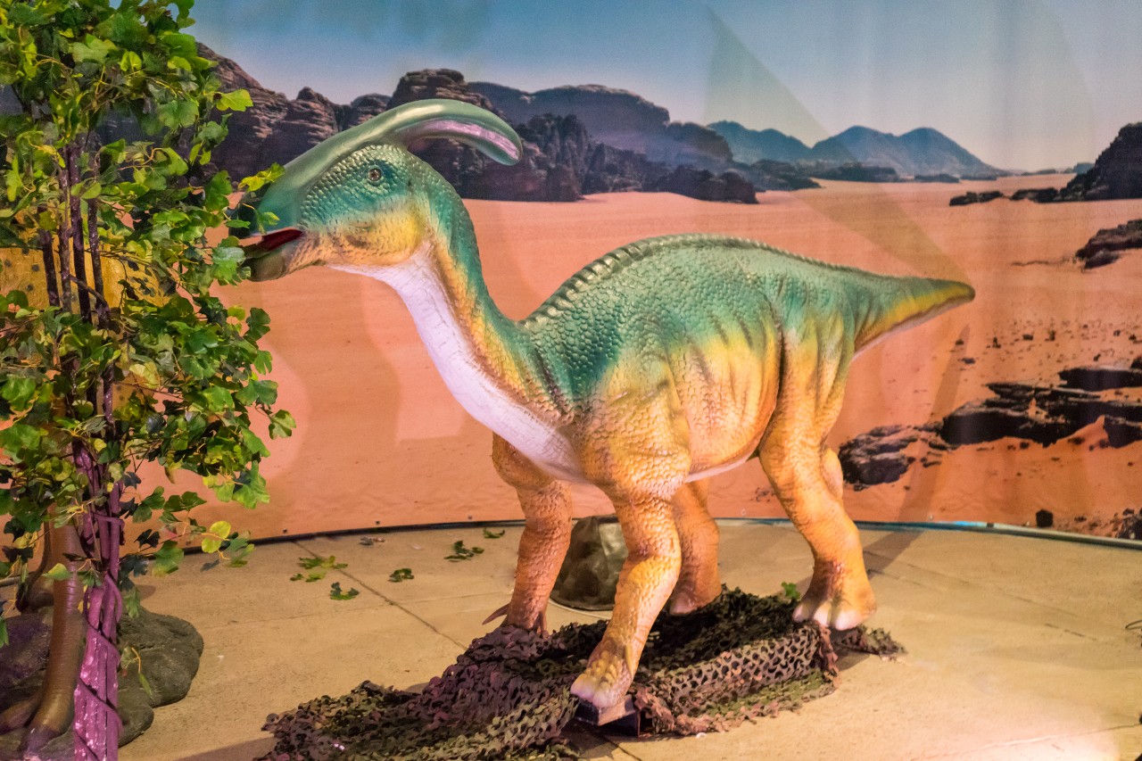 Dinosaurs Live, l'esposizione